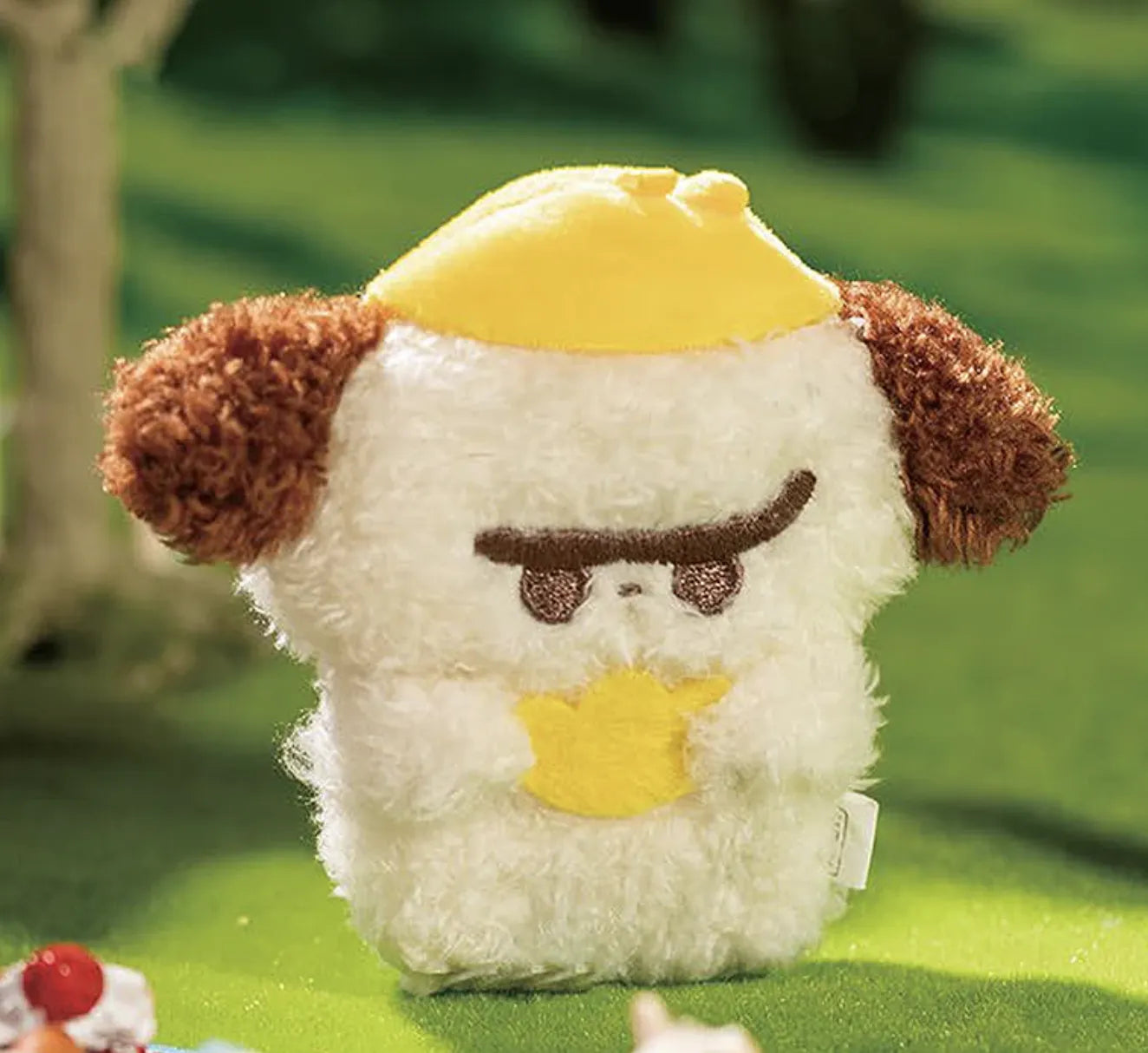 MR. PA FORTUNE FAVORS YOU