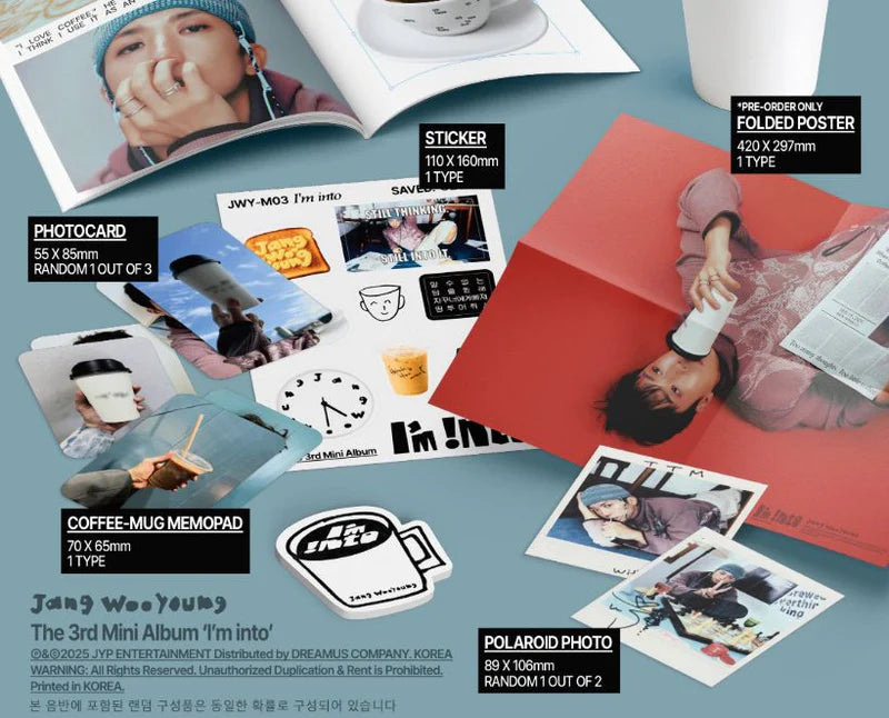 JANG WOOYOUNG (2PM) - I'M INTO