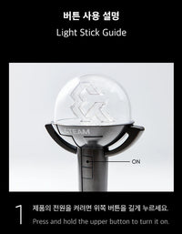 &TEAM - OFFICIAL LIGHT STICK